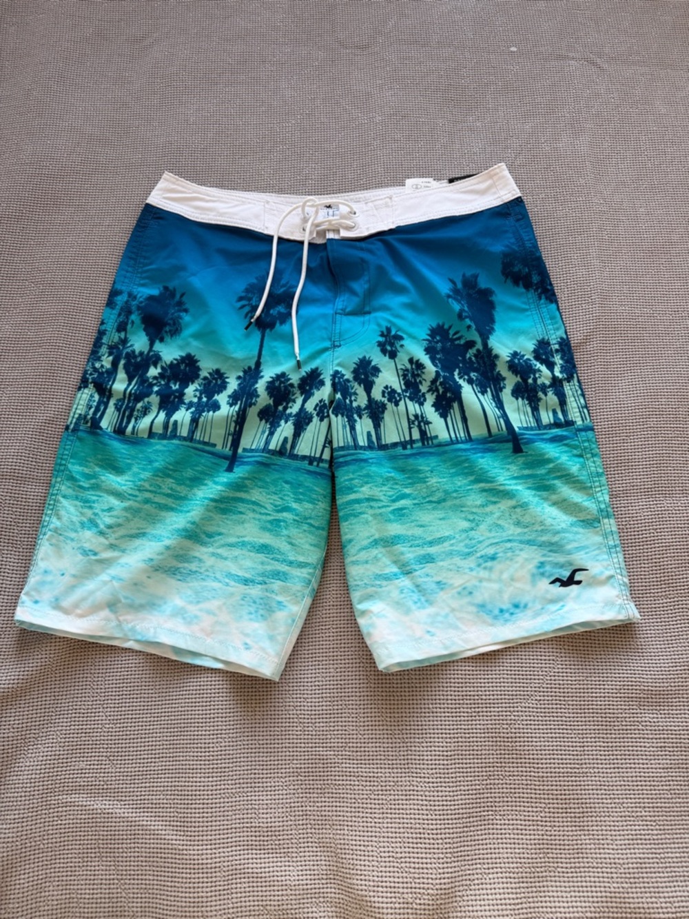 Hollister Teal & Blue Palm-Scene Board Shorts